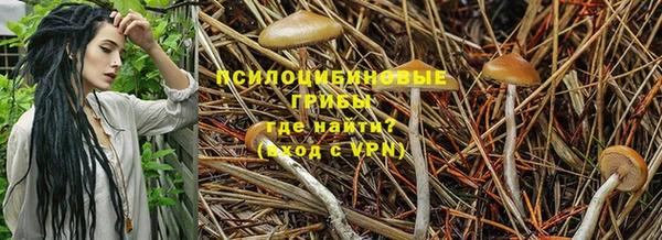 наркотики Семикаракорск