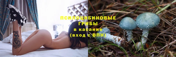 дживик Семилуки