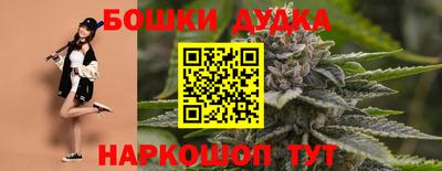 крисы Аргун