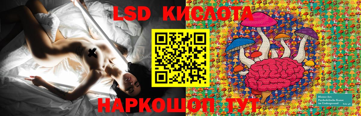 Белебей  Наркотические марки 1500мкг  Наркотические марки  Вход с VPN  Наркотические марки 1500мкг 