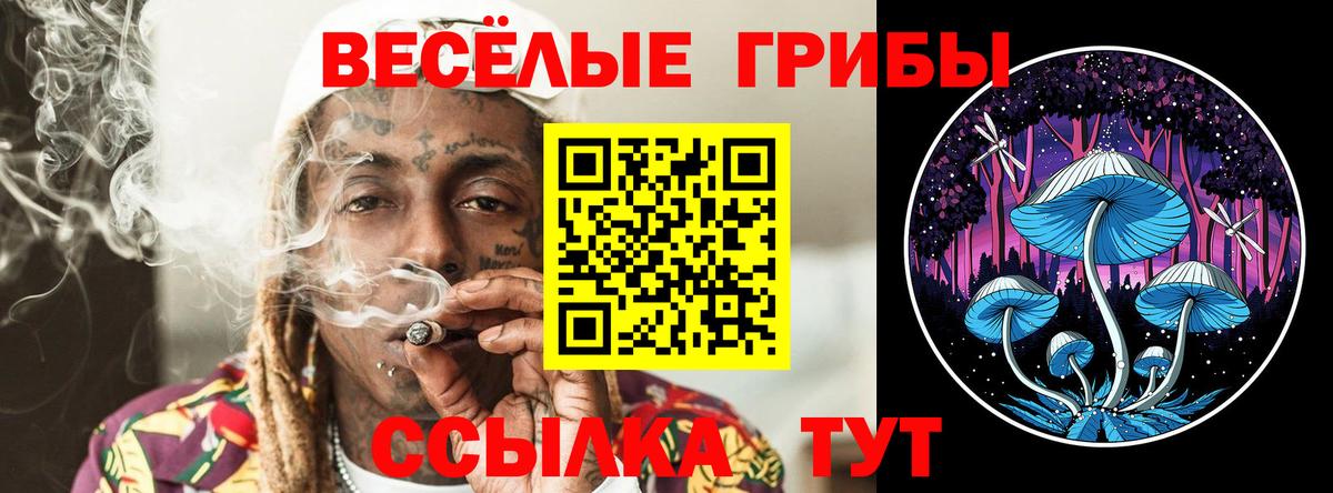 Псилоцибиновые грибы Cubensis Белебей